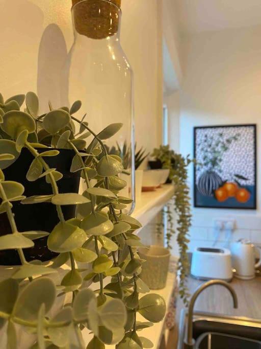 Garden Apartment, Central Harrogate With Parking Exterior foto